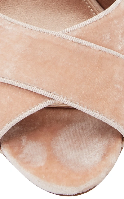 Shop Tabitha Simmons Reyner Embellished Velvet Sandals In Pink
