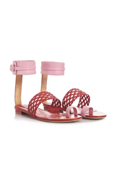 Shop Dondoks Lety Ankle Strap Sandal In Red