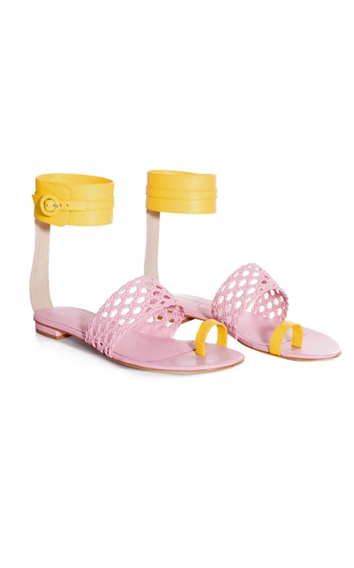Shop Dondoks Lety Ankle Strap Sandal In Pink