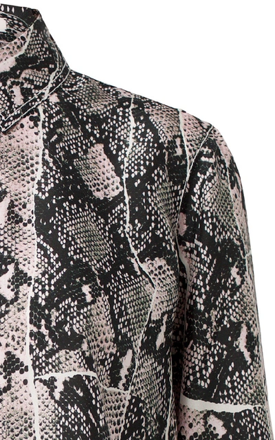 Shop Dorothee Schumacher Snake-print Silk Shirt In Animal