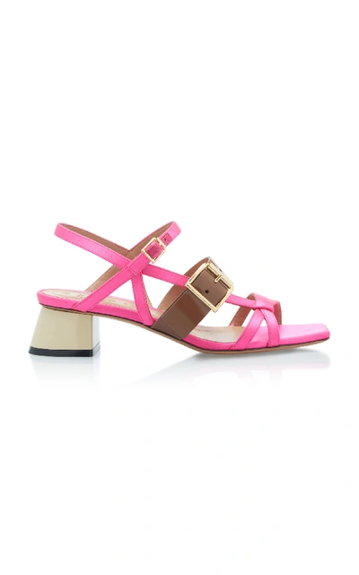 Shop Marni Buckle Sandal In Pink