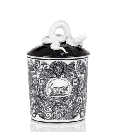 Shop Gucci Fumus Cat Scented Candle In Black