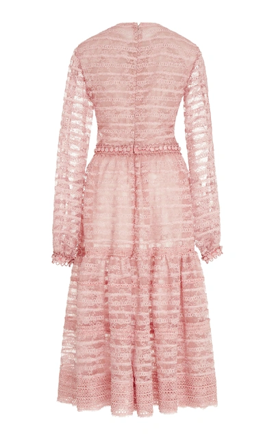 Shop Costarellos Cordone Lace Midi Dress In Pink
