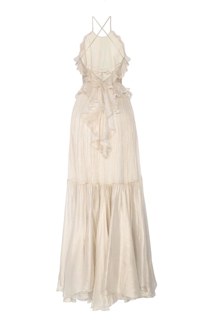 Shop Maria Lucia Hohan Pearl Metallic Mousseline Dress