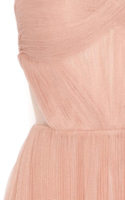 Shop Maria Lucia Hohan Tamia Strapless Tulle Dress In Pink