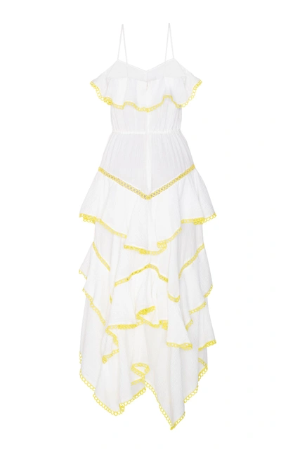 Shop Maria Lucia Hohan Iris Sleeveless Cotton Voile Dress In White