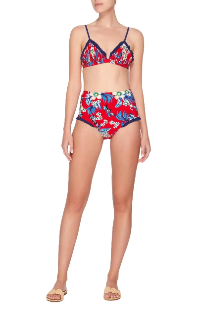 Shop Diane Von Furstenberg Ruffled Printed Triangle Bikini Top In Floral