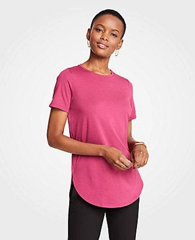 Shop Ann Taylor Tunic Tee In Frosted Cranberry