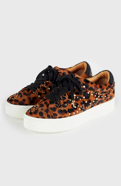 Shop Joie Handan Stud Sneaker In Leopard Fw