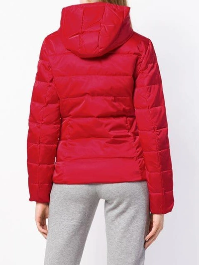 Shop Ea7 Emporio Armani Padded Jacket - Red