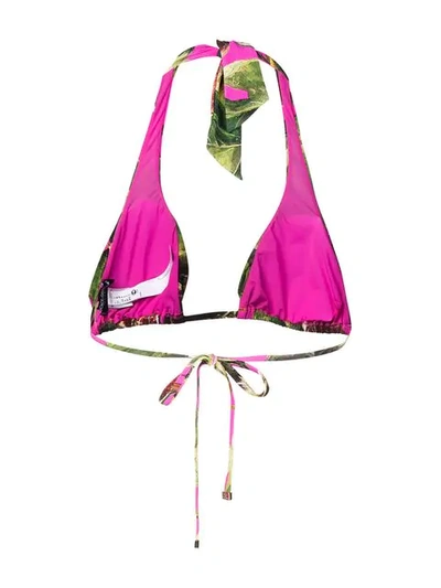 Shop Dolce & Gabbana Printed Triangle Bikini Top In Pink