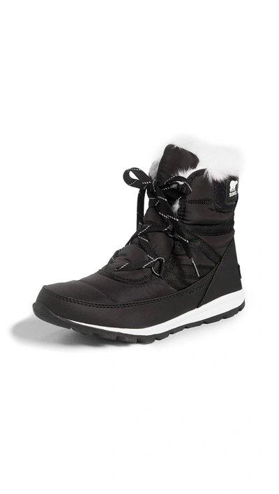 Shop Sorel Whitney Short Lace Boots In Black