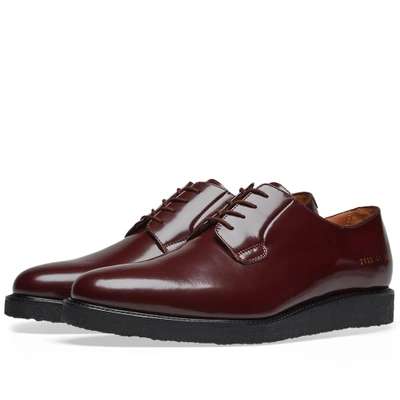Shop Common Projects Derby Shine In Burgundy