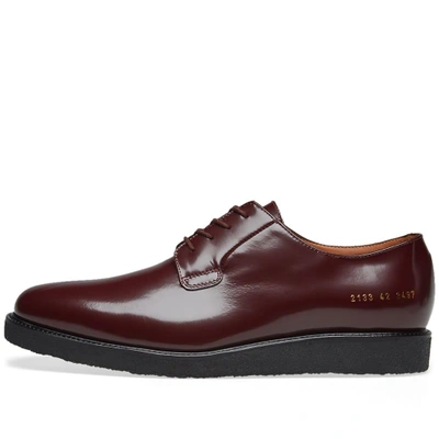Shop Common Projects Derby Shine In Burgundy