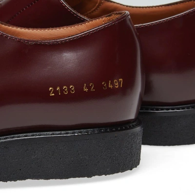 Shop Common Projects Derby Shine In Burgundy