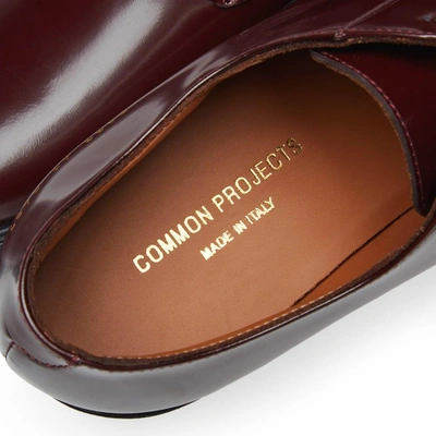 Shop Common Projects Derby Shine In Burgundy