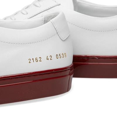 Shop Common Projects Achilles Low Coloured Shiny Sole In Red