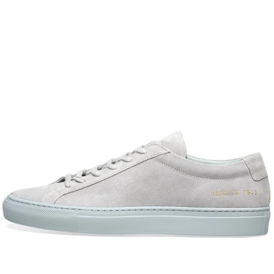 Shop Common Projects Woman By  Original Achilles Low Suede In Grey