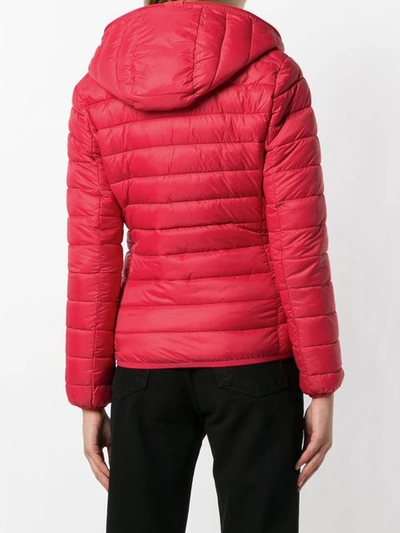 Shop Save The Duck Padded Puffer Jacket - Red