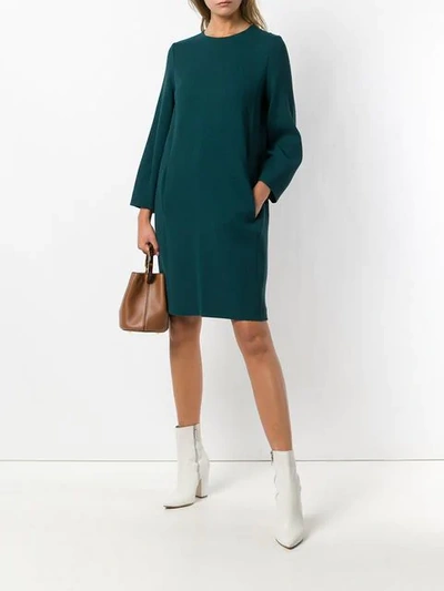 Shop Antonelli Side Pocket Shift Dress - Green