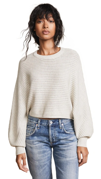 Shop Line & Dot Iris Cropped Sweater In Grey