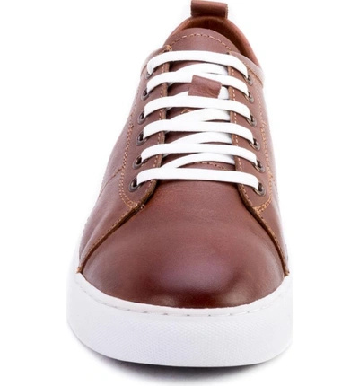 Shop Robert Graham Blackburn Low Top Sneaker In Brown Leather