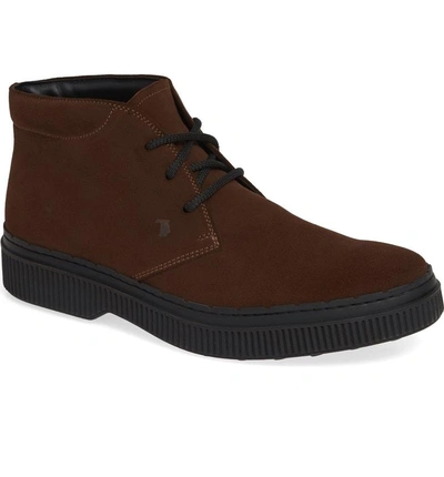 Shop Tod's Chukka Boot In Brown