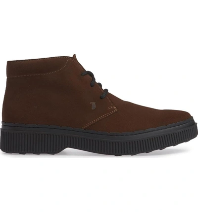 Shop Tod's Chukka Boot In Brown