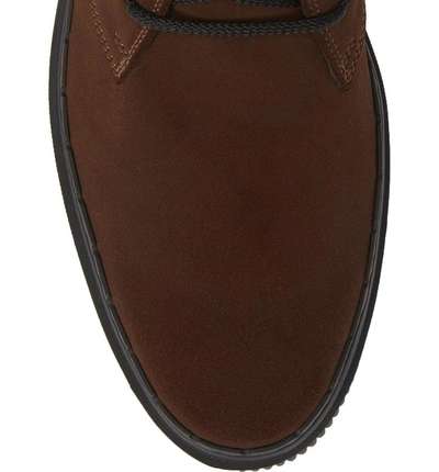 Shop Tod's Chukka Boot In Brown