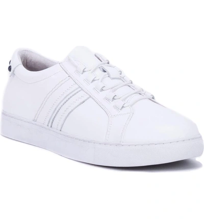 Shop Robert Graham Horton Studded Low Top Sneaker In White Leather
