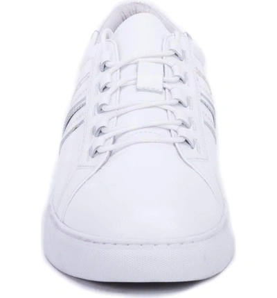 Shop Robert Graham Horton Studded Low Top Sneaker In White Leather