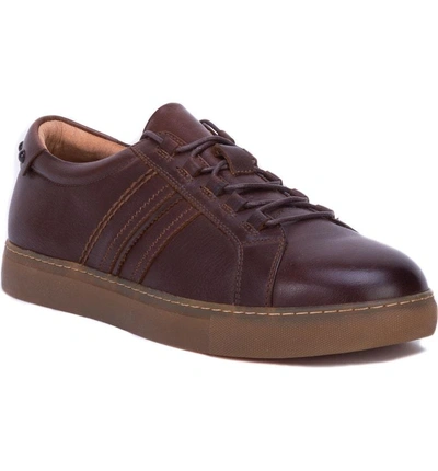Shop Robert Graham Horton Studded Low Top Sneaker In Brown Leather