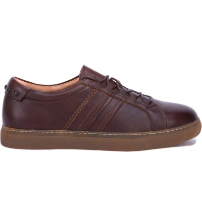 Shop Robert Graham Horton Studded Low Top Sneaker In Brown Leather