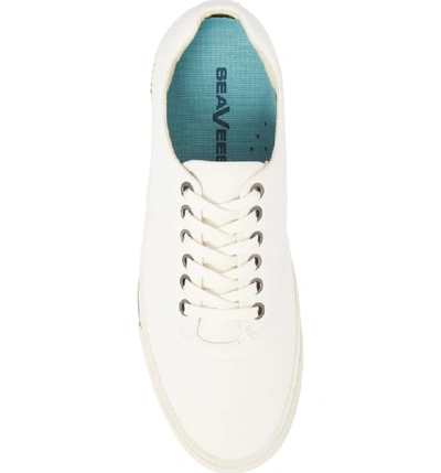 Shop Seavees Hermosa Plimsoll Sneaker In Bleach White