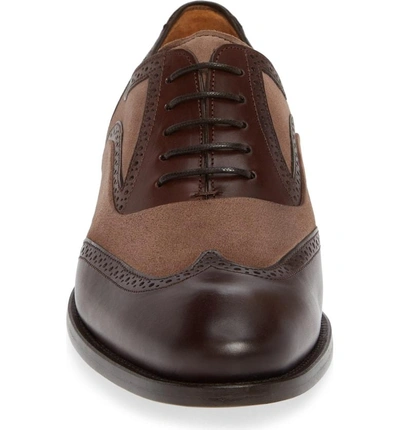 Shop Mezlan Cantone Wing Tip Lace-up Oxford In Brown/ Taupe Leather/ Suede