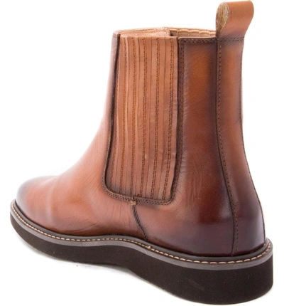 Shop Zanzara Warlow Chelsea Boot In Cognac Leather