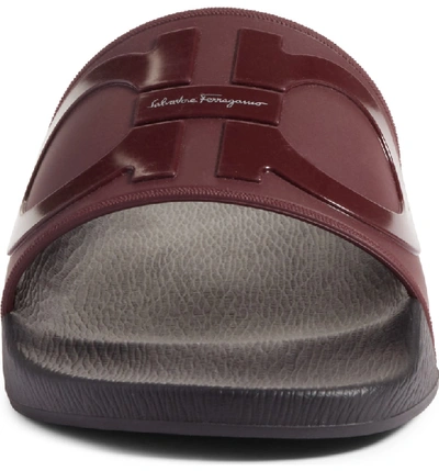 Shop Ferragamo Groove 2 Slide Sandal In Wine/ Nero