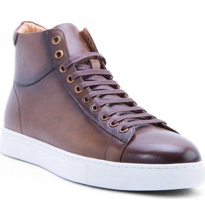 Shop Zanzara Spinback High Top Sneaker In Brown Leather