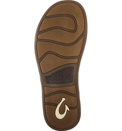 Shop Olukai Nalukai Flip Flop In Dark Koa/ Dark Koa Leather