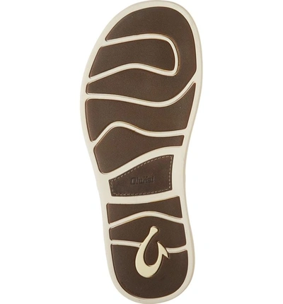 Shop Olukai Nalukai Flip Flop In Husk/ Husk Leather