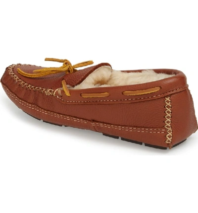 Shop Minnetonka Genuine Shearling Lined Leather Slipper In Carmel