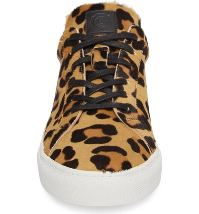 Shop Greats Royale Sneaker In Leopard