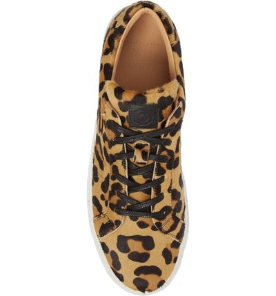Shop Greats Royale Sneaker In Leopard