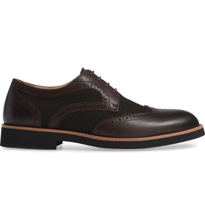 Shop English Laundry Bolton Wingtip In Brown