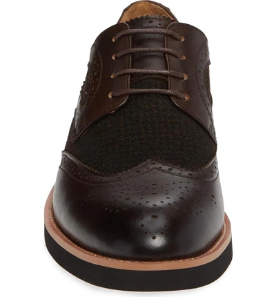 Shop English Laundry Bolton Wingtip In Brown
