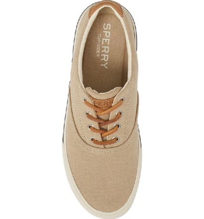 Shop Sperry Striper 2 Cvo Sneaker In Chino Canvas