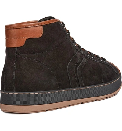 Geox Ariam High Top Sneaker In Black/ Brown Leather | ModeSens