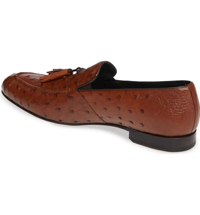 Shop Mezlan Conte Tassel Ostrich Leather Loafer In Brandy Leather
