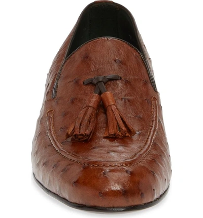 Shop Mezlan Conte Tassel Ostrich Leather Loafer In Brandy Leather