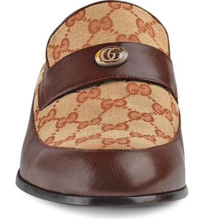 Shop Gucci Team Motif In Light Brown